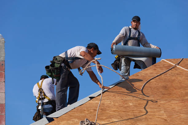 Best Residential Roof Replacement  in Woodward, IA
